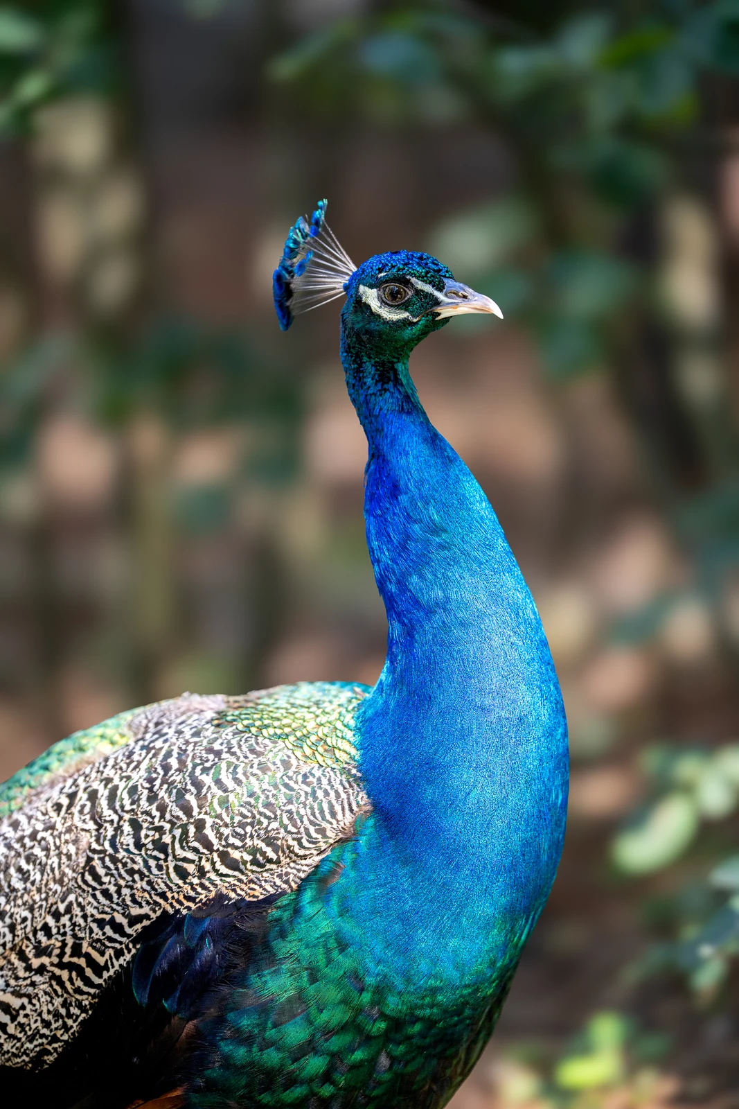 Riga Zoo