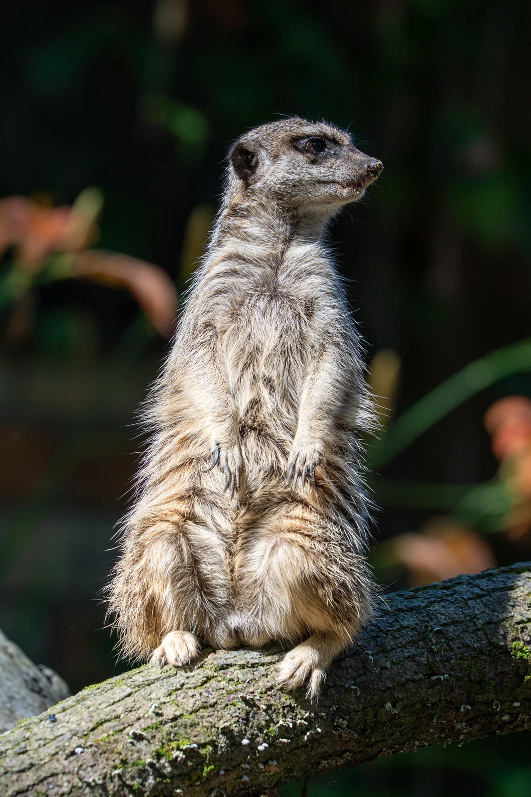 Riga Zoo — 4